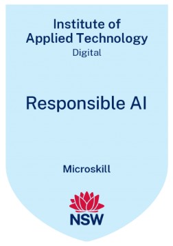 Responsible Artificial Intelligence